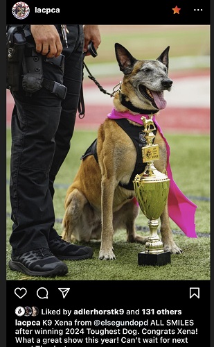 Donate to protect K9 Xena warrior princess winner Toughest Dog at the LACPCA 2024 K9 Trials