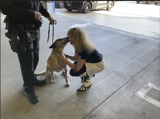 Donate to protect El Segundo PD K9 Xena Donate to protect El Segundo PD K9 Xena