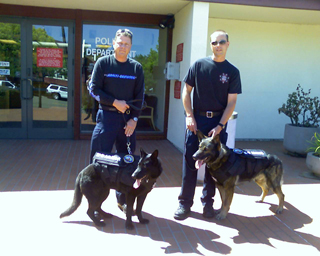 Click for giant image of Raven and Kyto of Novato PD