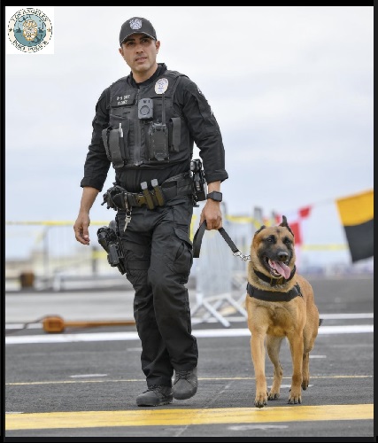 We promised four K9 Armor vests by K9 Storm to LA Port Police for Officer Flores, K9 Team Leader pictured with his partner Wako on the USS Carl Vinson