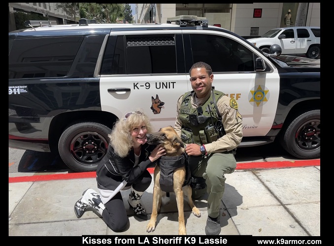 Donate to protect LA Sheriff K9 Lassie