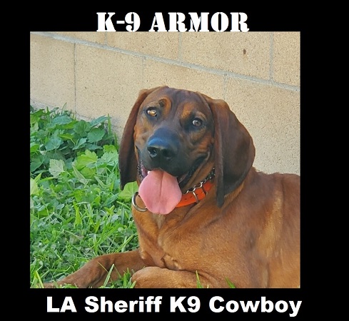 Donate to protect LA Sheriff K9 Cowboy and his team of 14 k9 heroes