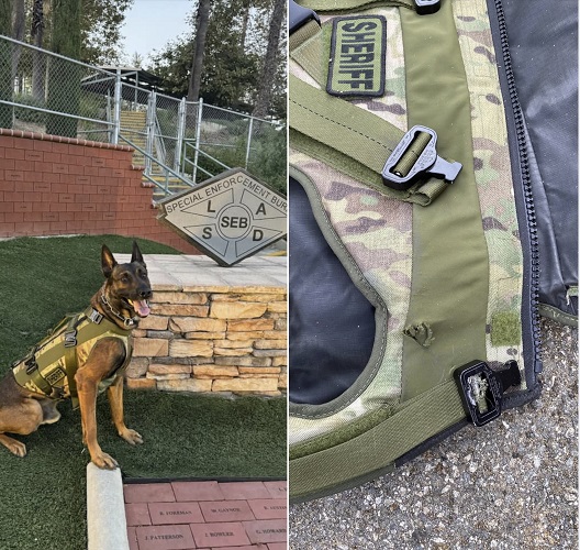 K9 storm harness best sale