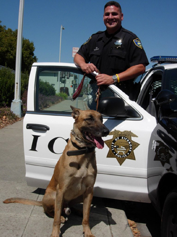 Click to see giant image of Officer Moreno and Sabre, Richmond P.D.
