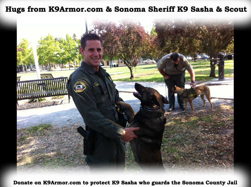 Hugs from Sonoma Sheriff K9 Sasha and Scout. Donate on K9Armor.com to protect K9 Sasha (in the background) who guards the Sonoma County Jail.